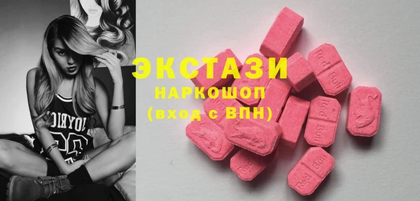 индика Бугульма