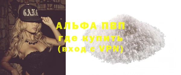 СК Богородицк