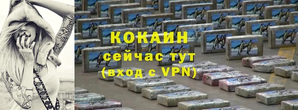 индика Бугульма