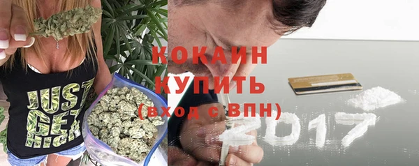 индика Бугульма