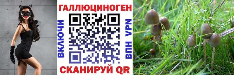 Псилоцибиновые грибы Cubensis  Ялуторовск 
